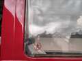 Volkswagen T3 California Westfalia mit Hochdach Rojo - thumbnail 3