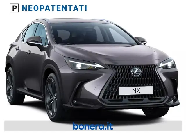 Lexus NX view 2