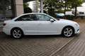 Audi A4 35 TDI S tronic S line~ 1 HAND Weiß - thumbnail 4