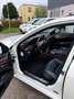 Mercedes-Benz S 350 youngtimer Wit - thumbnail 10