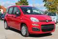 Fiat Panda 4x2 FireFly Hybrid 70 Pandina Rot - thumbnail 3