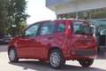 Fiat Panda 4x2 FireFly Hybrid 70 Pandina Rot - thumbnail 4