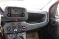 Fiat Panda 4x2 FireFly Hybrid 70 Pandina Rot - thumbnail 15