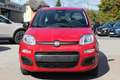 Fiat Panda 4x2 FireFly Hybrid 70 Pandina Rot - thumbnail 2