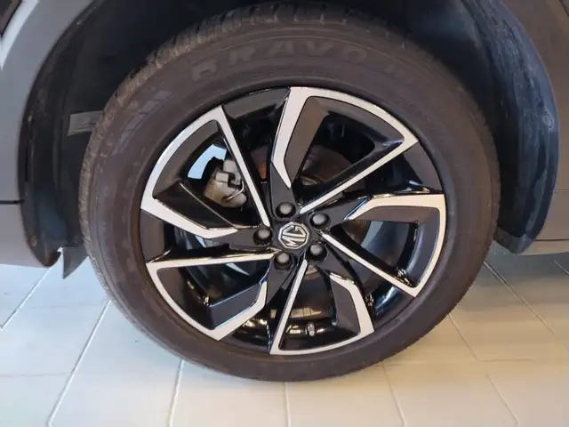 MG ZS view 21