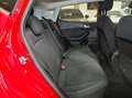 Ford Fiesta Fiesta VII 2022 5p 5p 1.1 Titanium Gpl 75cv Rouge - thumbnail 8