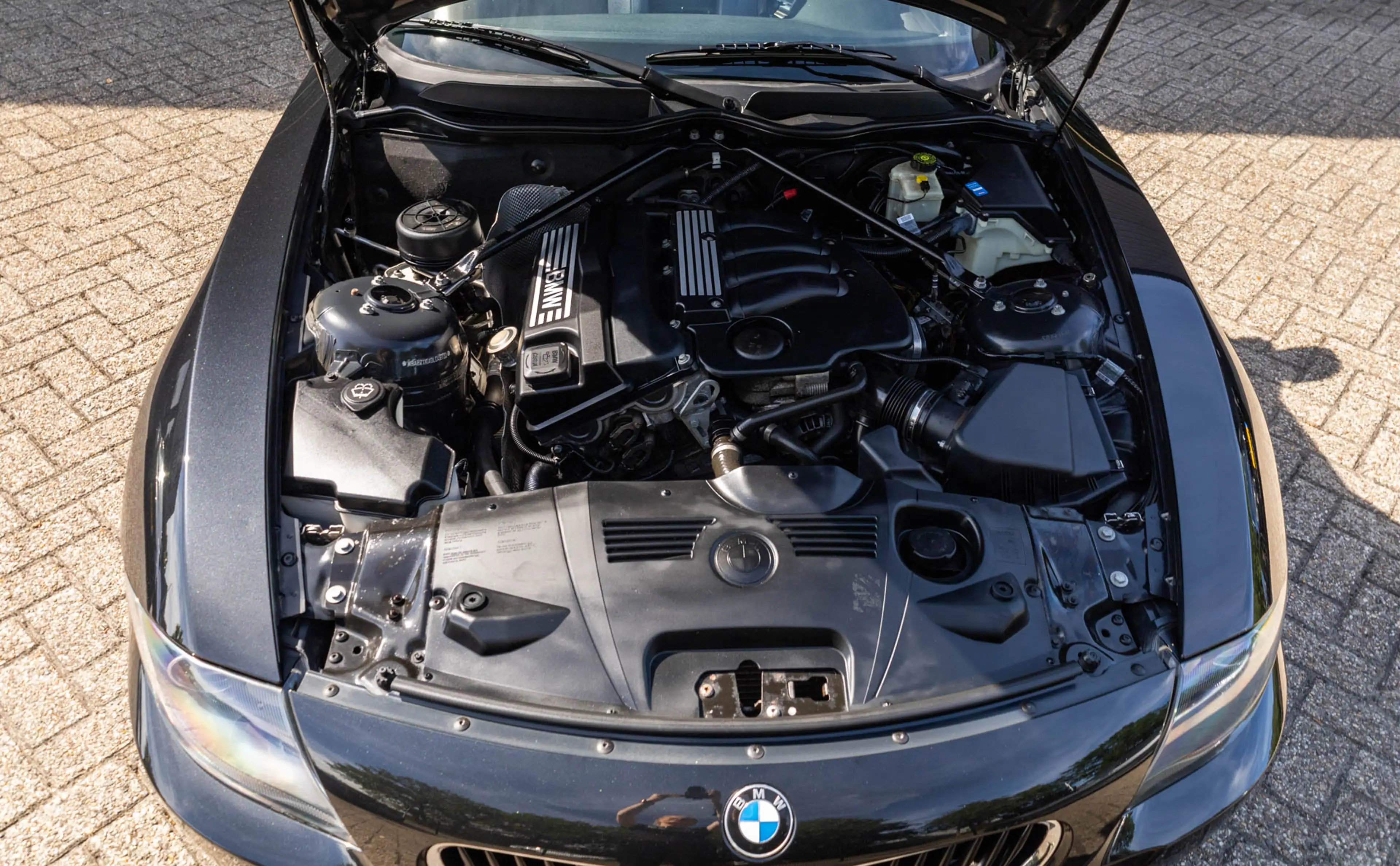BMW Z4 Roadster 2.0i Introduction — photo 8