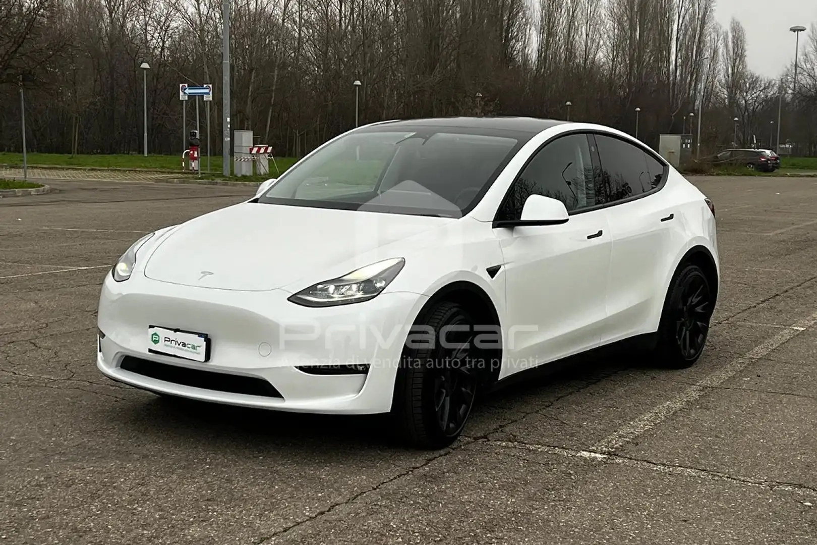 Tesla Model Y Model Y Long Range AWD Bianco - 1