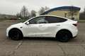 Tesla Model Y Model Y Long Range AWD Bianco - thumbnail 8