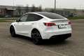 Tesla Model Y Model Y Long Range AWD Bianco - thumbnail 7