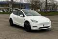 Tesla Model Y Model Y Long Range AWD Bianco - thumbnail 3