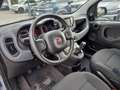 Fiat Panda Panda 1.2 EasyPower Gris - thumbnail 12
