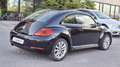 Volkswagen Beetle 2.0TDI Design 110 - thumbnail 5
