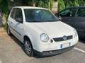 Volkswagen Lupo Lupo 1.0 Bianco - thumbnail 1