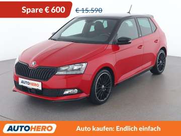 1.0 TSI Monte Carlo