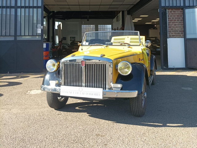 Fiat 850 SIATA SPRING 100 SPIDER