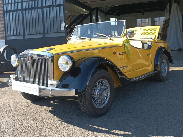 Fiat 850 SIATA SPRING 100 SPIDER