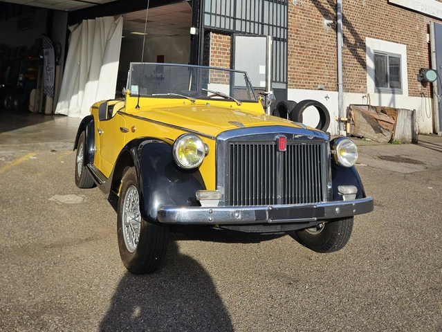 Fiat 850 SIATA SPRING 100 SPIDER