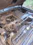 Mitsubishi Pajero Pajero MT 2,5 GL TD Grün - thumbnail 6