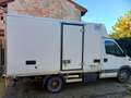 Iveco Daily frigorifero ATP valido 2028 - thumbnail 2