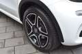 smart forFour 90 PS NAVI PANO 1 HAND LEDER Weiß - thumbnail 4