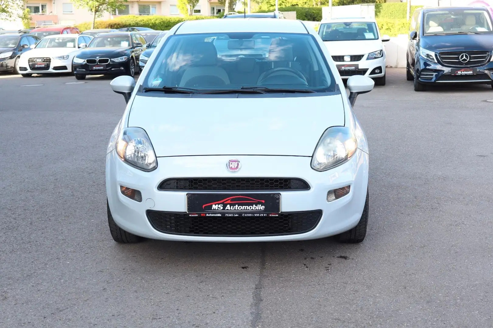 Fiat Punto 1.2 8V POP 2. Hand **56 tkm** Tüv neu Wit - 2