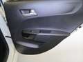 Kia Picanto Dream Team 1.Hd Allwetter Inspektion NEU Wit - thumbnail 18