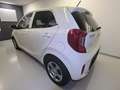 Kia Picanto Dream Team 1.Hd Allwetter Inspektion NEU Blanc - thumbnail 12