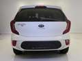 Kia Picanto Dream Team 1.Hd Allwetter Inspektion NEU Blanc - thumbnail 11