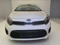 Kia Picanto Dream Team 1.Hd Allwetter Inspektion NEU Blanc - thumbnail 8