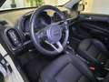 Kia Picanto Dream Team 1.Hd Allwetter Inspektion NEU Blanc - thumbnail 13