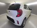 Kia Picanto Dream Team 1.Hd Allwetter Inspektion NEU Blanc - thumbnail 10