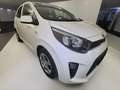 Kia Picanto Dream Team 1.Hd Allwetter Inspektion NEU Blanc - thumbnail 9