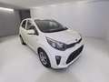 Kia Picanto Dream Team 1.Hd Allwetter Inspektion NEU Blanc - thumbnail 3