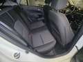 Kia Picanto Dream Team 1.Hd Allwetter Inspektion NEU Wit - thumbnail 17