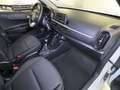 Kia Picanto Dream Team 1.Hd Allwetter Inspektion NEU Wit - thumbnail 20
