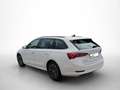Skoda Octavia COMBI Clever 150PS TDI DSG AGK NAVI MassageLED  St Weiß - thumbnail 8