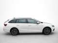 Skoda Octavia COMBI Clever 150PS TDI DSG AGK NAVI MassageLED  St Weiß - thumbnail 5
