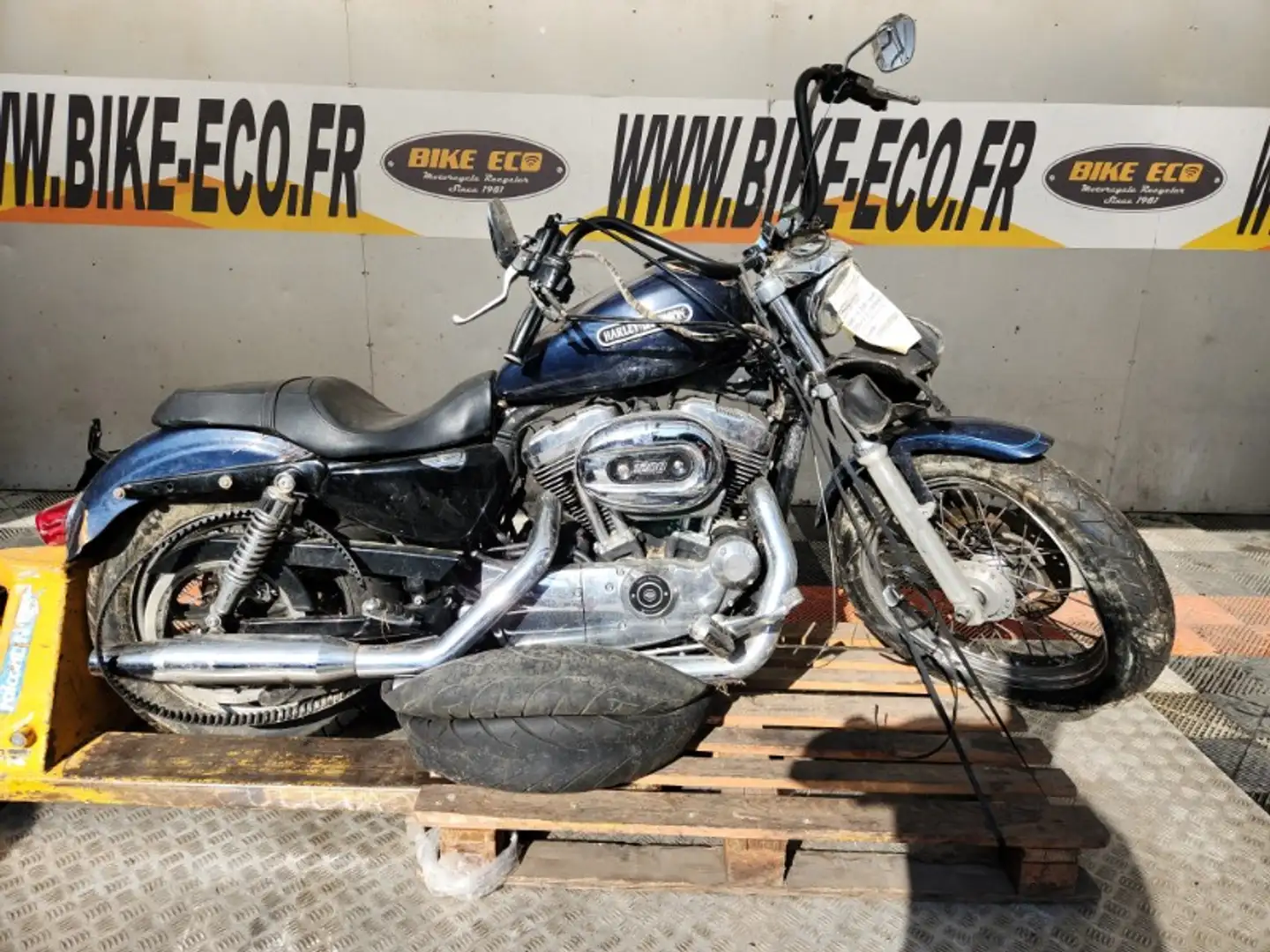 Harley-Davidson Sportster 1200 Bleu - 1