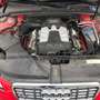 Audi S4 manual Rojo - thumbnail 14
