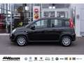 Fiat Panda Hybrid 1.0 GSE NEUES MODELL 2024 CITY TEMPOMAT PDC Schwarz - thumbnail 2