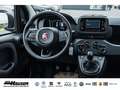 Fiat Panda Hybrid 1.0 GSE NEUES MODELL 2024 CITY TEMPOMAT PDC Schwarz - thumbnail 10