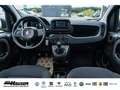 Fiat Panda Hybrid 1.0 GSE NEUES MODELL 2024 CITY TEMPOMAT PDC Schwarz - thumbnail 9