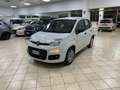 Fiat Panda Panda 1.2 Easy *IVA DEDUCIBILE* Wit - thumbnail 1