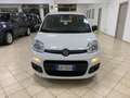 Fiat Panda Panda 1.2 Easy *IVA DEDUCIBILE* Wit - thumbnail 2