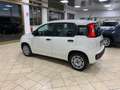Fiat Panda Panda 1.2 Easy *IVA DEDUCIBILE* Wit - thumbnail 8