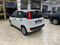 Fiat Panda Panda 1.2 Easy *IVA DEDUCIBILE* Wit - thumbnail 7