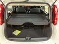Fiat Panda Panda 1.2 Easy *IVA DEDUCIBILE* Wit - thumbnail 15