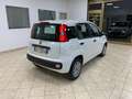 Fiat Panda Panda 1.2 Easy *IVA DEDUCIBILE* Wit - thumbnail 5
