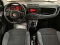 Fiat Panda Panda 1.2 Easy *IVA DEDUCIBILE* Wit - thumbnail 13